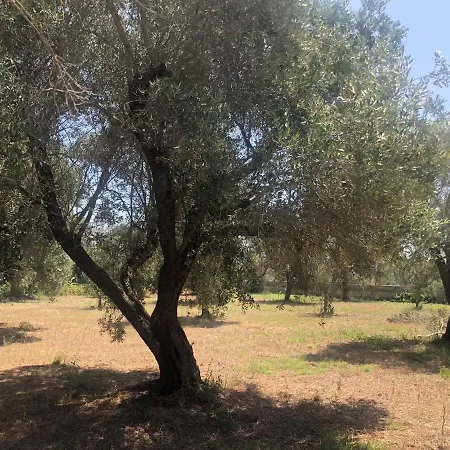 Salento Ninella