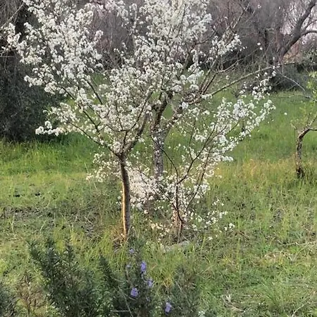 Salento Ninella Appartement *
